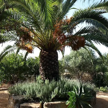 Quinta Amarela Moncarapacho