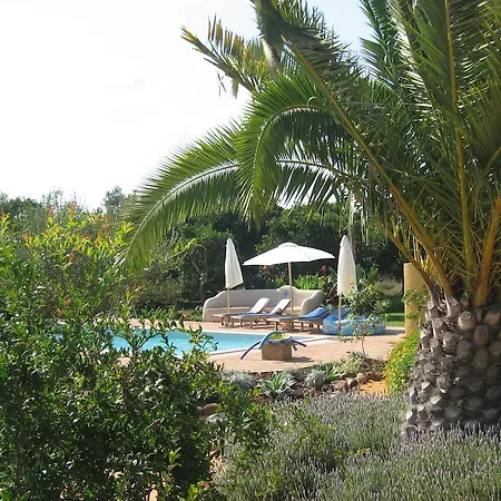 Quinta Amarela Moncarapacho